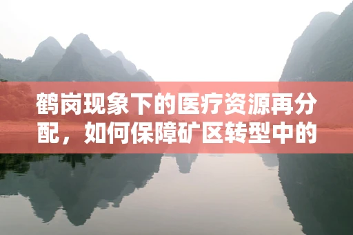 鹤岗现象下的医疗资源再分配，如何保障矿区转型中的居民心理健康？