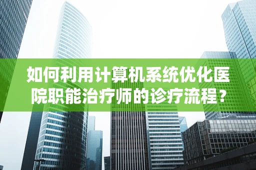 如何利用计算机系统优化医院职能治疗师的诊疗流程？