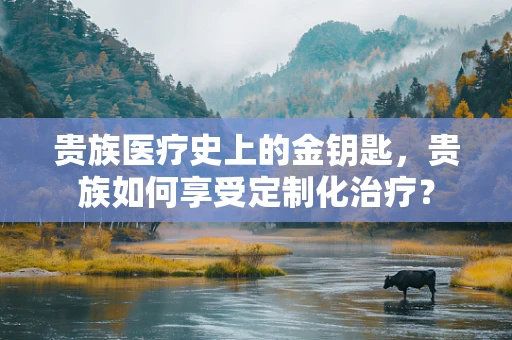 贵族医疗史上的金钥匙，贵族如何享受定制化治疗？